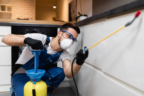 Best Termite Control Services  in Mascot, TN