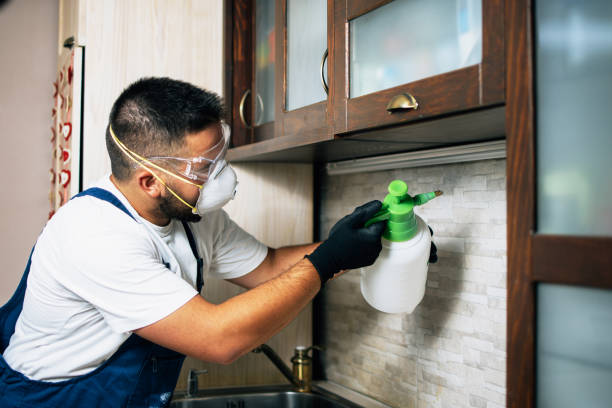 Best Residential Pest Control  in Mascot, TN