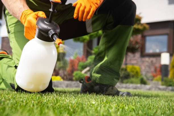 Best Pest Prevention Services  in Mascot, TN
