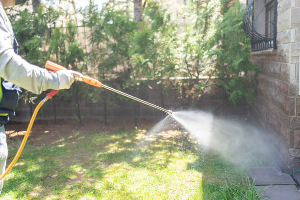 Best Commercial Pest Control Services  in Mascot, TN