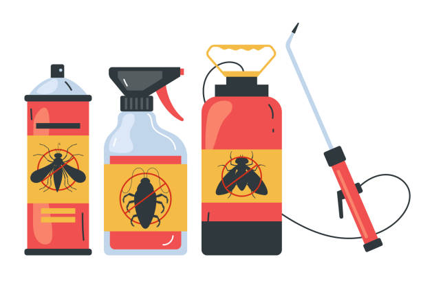 Best Bed Bug Extermination  in Mascot, TN