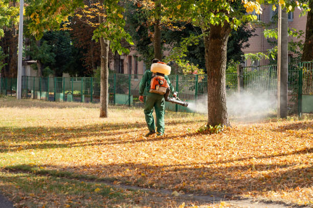 Best Pest Control Near Me  in Mascot, TN
